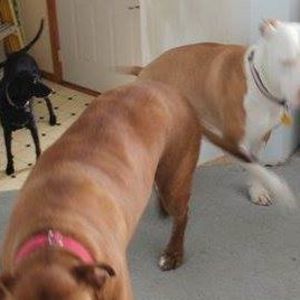 Meet your Posher, James